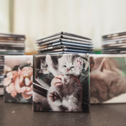 9 Imanes de fotos personalizados